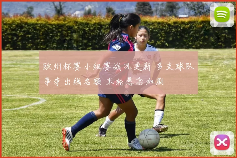 欧州杯赛小组赛战况更新 多支球队争夺出线名额 末轮悬念加剧