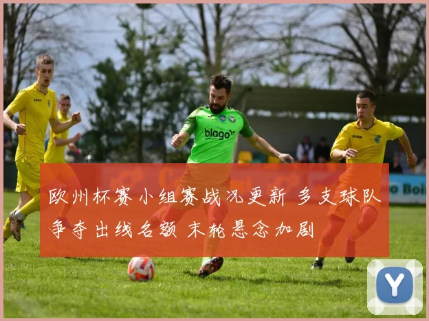 欧州杯赛小组赛战况更新 多支球队争夺出线名额 末轮悬念加剧