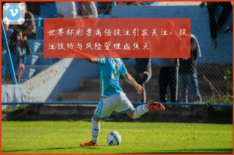 世界杯彩票高倍投注引发关注,投注技巧与风险管理成焦点